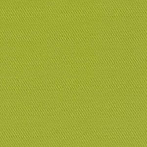 25000-66 – Grass Green