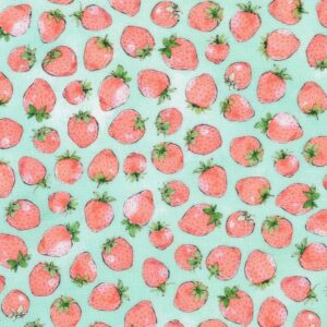 ABYD-22314-241 – Wishwell: Strawberry Season – SEAFOAM