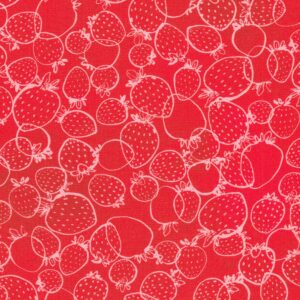 ABYD-22317-113 – Wishwell: Strawberry Season – CRANBERRY