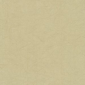 K123-2094 – Kona Natural Crush – Light Beige 6